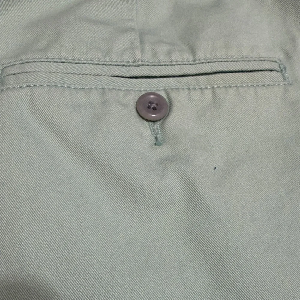 J. Crew Men's Pastel Green Flat-Front Cotton Chino 9” Shorts, Size 36.